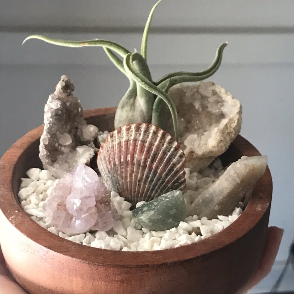 Handcrafted & Customized Crystal Gardens